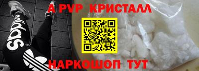 стафф Будённовск