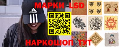 стафф Будённовск