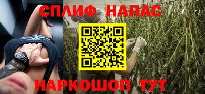 стафф Будённовск