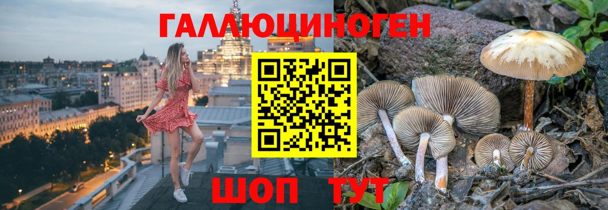Кушва  Галлюциногенные грибы мицелий  Вход с VPN 